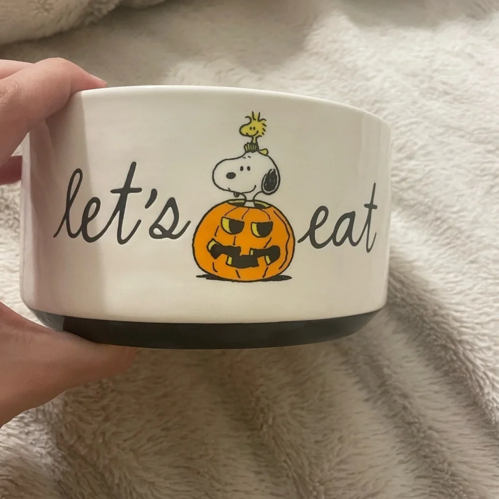NWT Peanuts and Rae Dunn Pet Food or Water Bowl